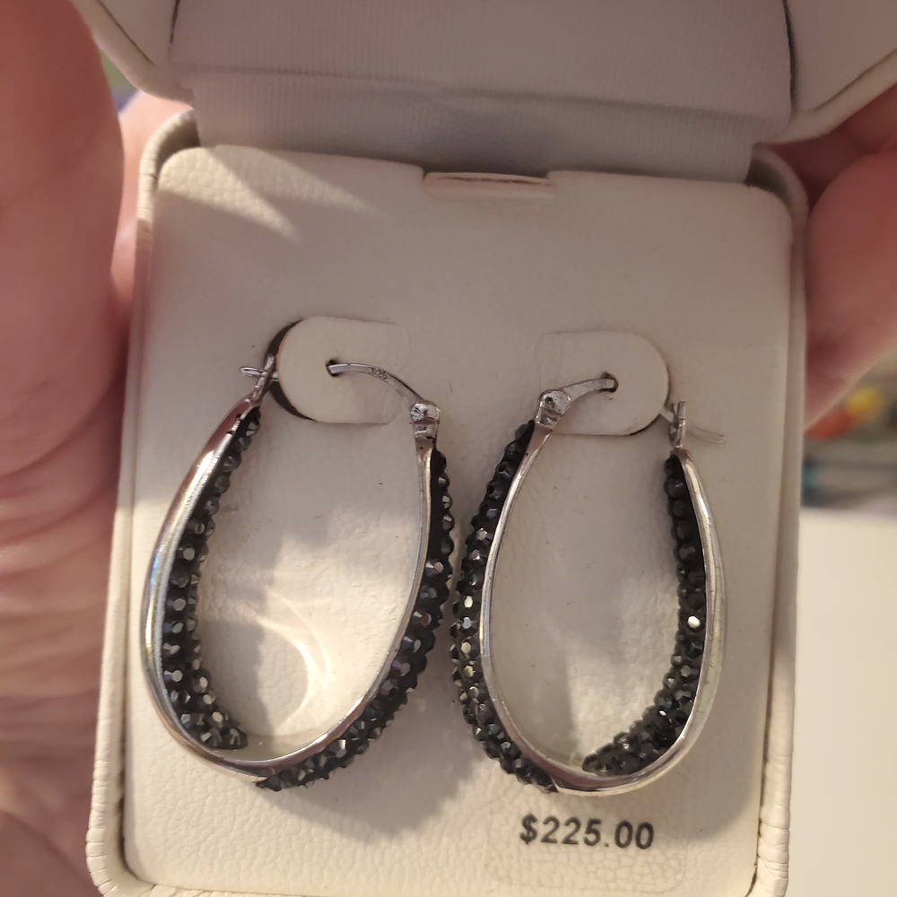 Elegant Silver and Black Hoop Earrings